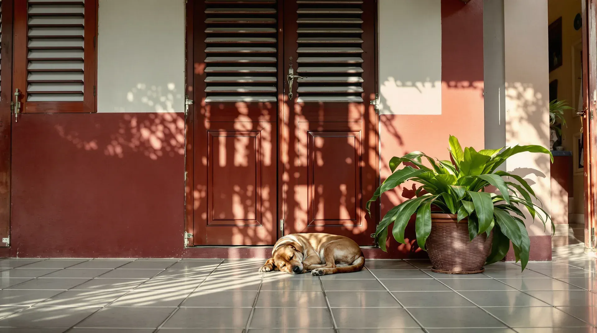 Bringing the Dog: What It Actually Takes to Move a Pet to the Philippines